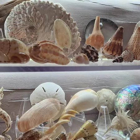 Maison d'hôtes Fleur Des Bois 4*