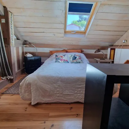 Maison d'hôtes Fleur Des Bois Arcachon