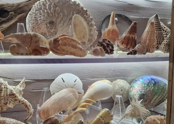 Guest house Fleur Des Bois 4*